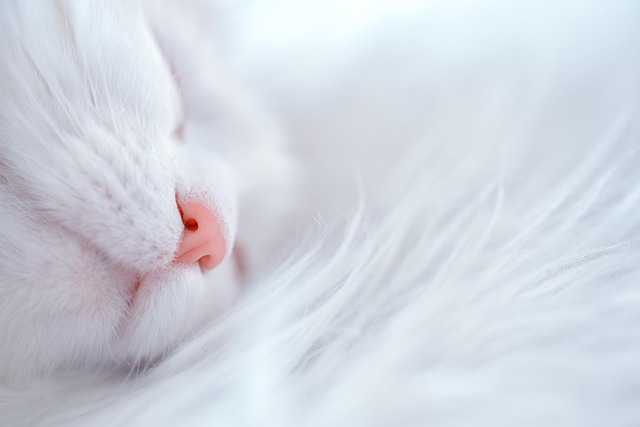 睡眠アプリのおすすめ