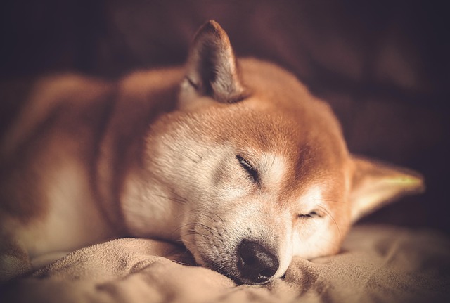 睡眠負債