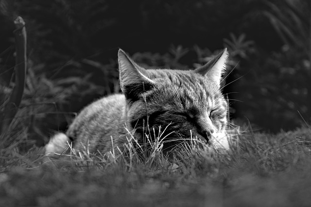 睡眠負債