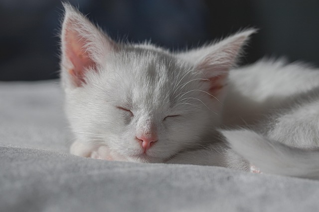 睡眠不足の影響